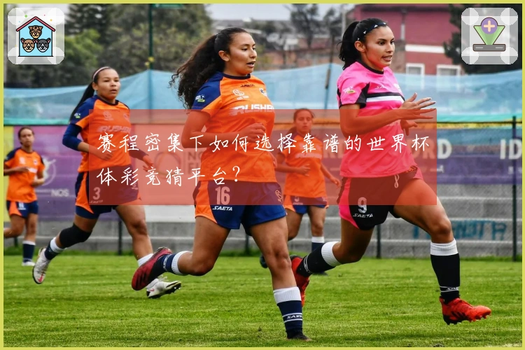 赛程密集下如何选择靠谱的世界杯体彩竞猜平台?