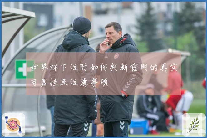 世界杯下注时如何判断官网的真实可靠性及注意事项