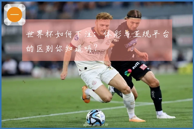 世界杯如何下注:体彩与正规平台的区别你知道吗?